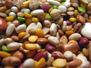 Код 11112015495: зерноотходы прочих зернобобовых культур (овощей бобовых сушеных)